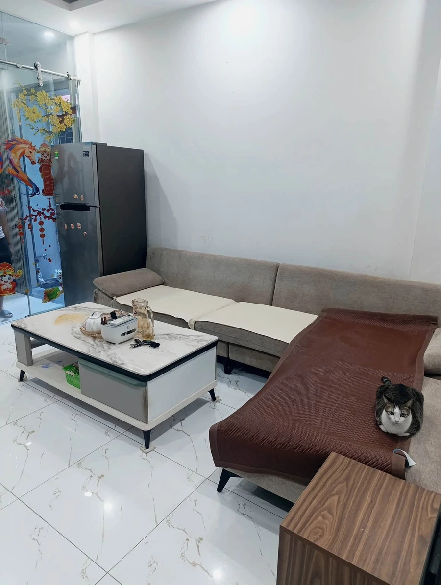 Bán nhà phố 3 tầng 44m2 trung tâm Hải Phòng 2 tỷ 450 - Ảnh thu nhỏ 3
