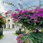 Bán căn thô The Residence Phú Quốc, full tiện ích, rạp chiếu phim, siêu thị, phù hợp cho thuê - Ảnh thu nhỏ 32