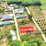390tr thương lượng mạnh. Bán đất đường nhựa tại Xã Phước Thạnh, Gò Dầu, Tây Ninh, 137,1m² thổ cư - Ảnh thu nhỏ 18