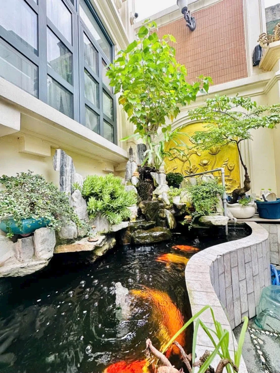 Bán biệt thự Tân Phú 126m2 7 phòng ngủ 27,99 tỷ - Ảnh thu nhỏ 3