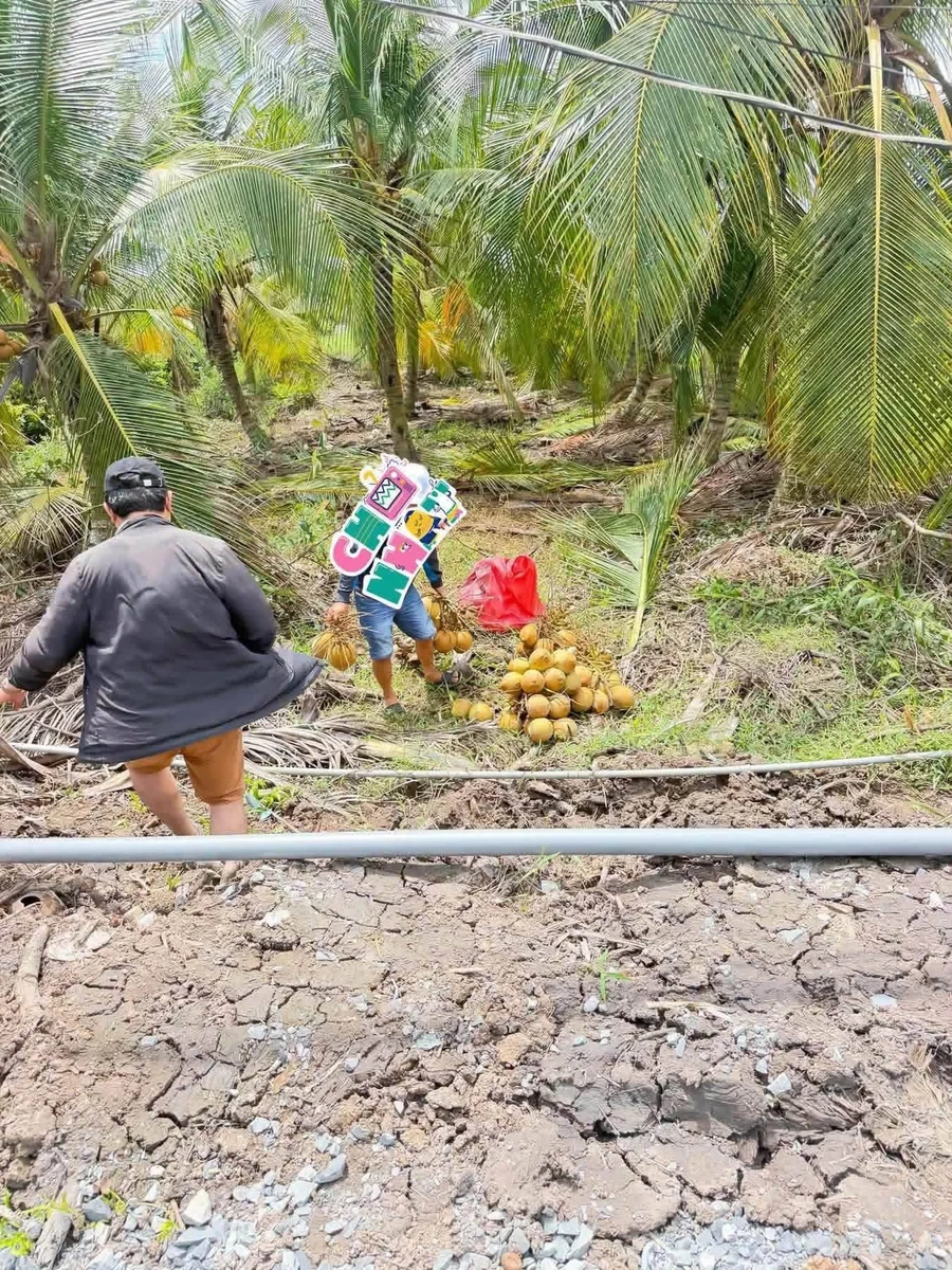 Bán đất vườn trồng dừa 1.300m2 mặt tiền kênh tại Lương Hòa, Bến Lức, Long An - Ảnh thu nhỏ 2