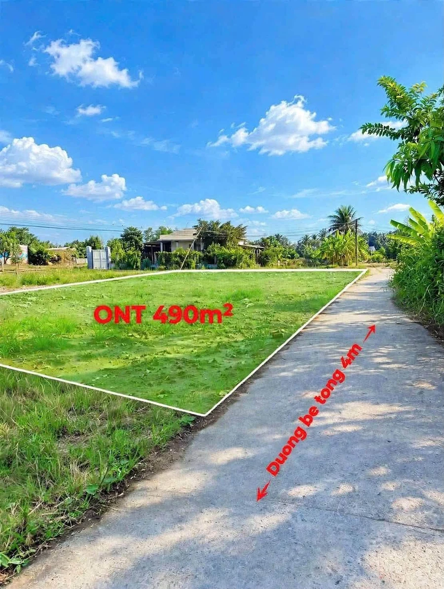 Bán đất nền 490m² full thổ ở Tân Trụ Long An - Ảnh thu nhỏ 3