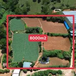 Bán 8000m² đất Đà Lạt, giá 4,5 tỷ - Ảnh thu nhỏ 1