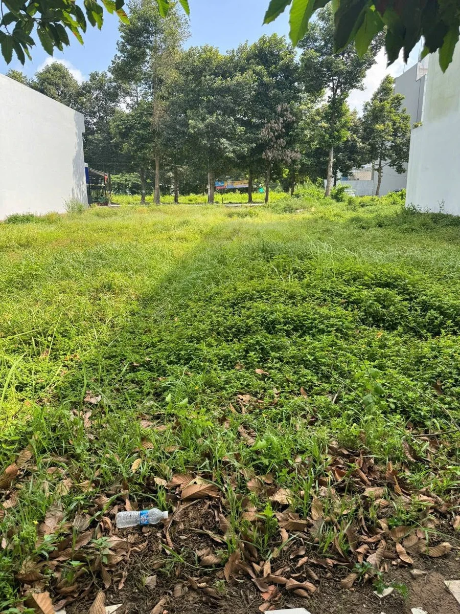 Bán nền thổ cư 144m2 KDC 135 trung tâm thị trấn Bến Lức giá 2,8 tỷ - Ảnh thu nhỏ 4
