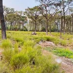 Bán đất nghỉ dưỡng 2600m2 tại Chí Linh, Hải Phòng 3 tỷ - Ảnh thu nhỏ 3