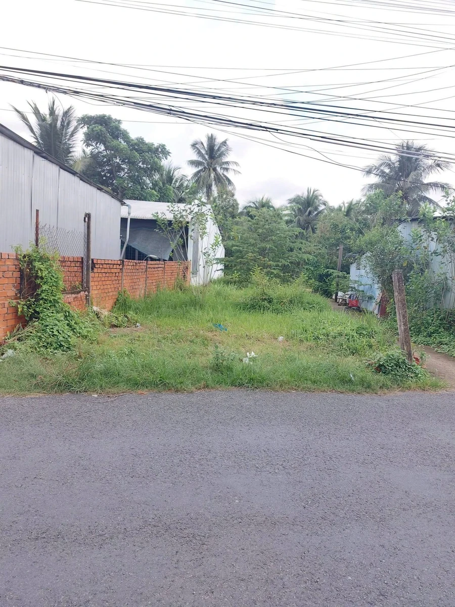 Bán nền mặt tiền đường 19/5, 314.5m², Bến Tre - Ảnh thu nhỏ 3