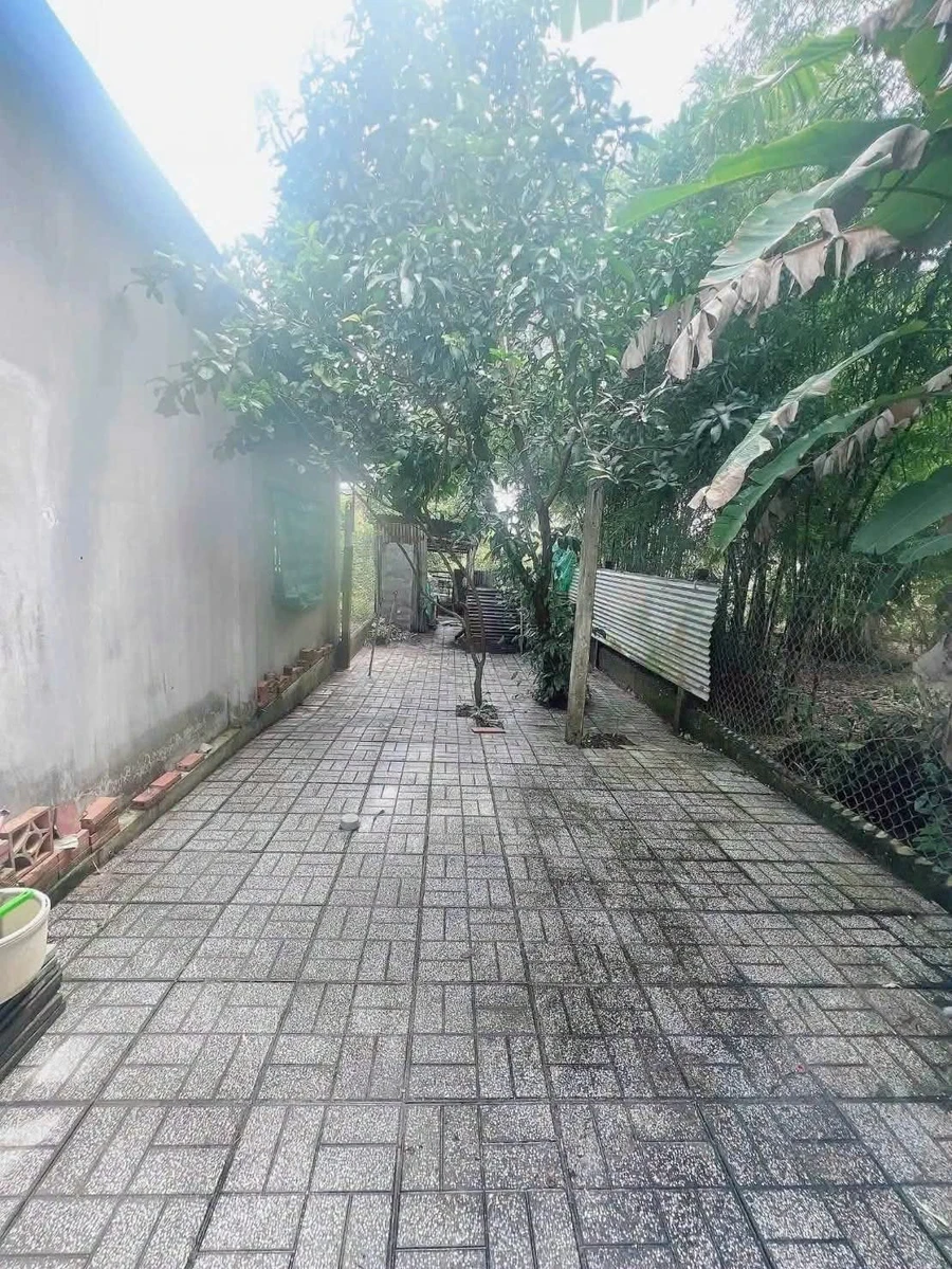 Bán nhà 2PN mặt tiền Nguyễn Văn Linh Long Hoa Tây Ninh 136m² - Ảnh thu nhỏ 3