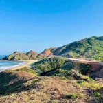 Bán đất 280m2 full thổ cư trực diện biển Hoàn Hải, Bình Định - Ảnh thu nhỏ 3