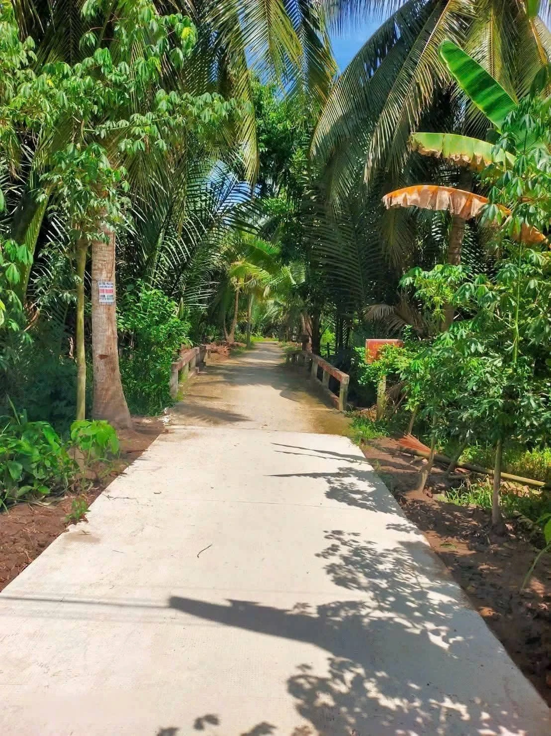 Bán đất vườn dừa 2700m² tại Xã Lương Phú, Bến Tre - Ảnh 1
