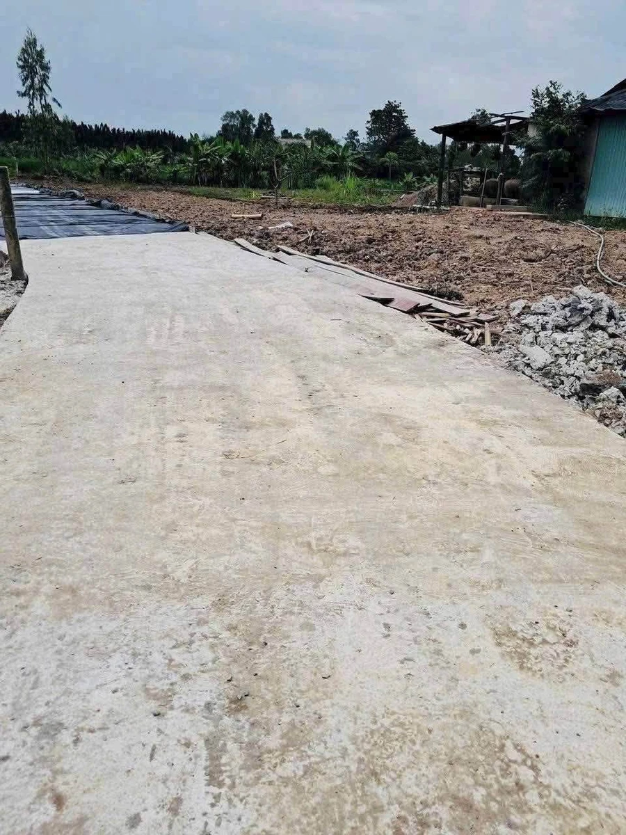 Bán đất thổ cư 100m² tại xã Phú Ngãi, Long An 260 triệu - Ảnh 1