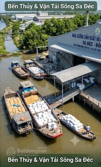 Bán gấp nhà xưởng mặt tiền đường Tỉnh 852 & mặt sông Sa Đéc, trung tâm lúa gạo Miền Tây - Ảnh thu nhỏ 3