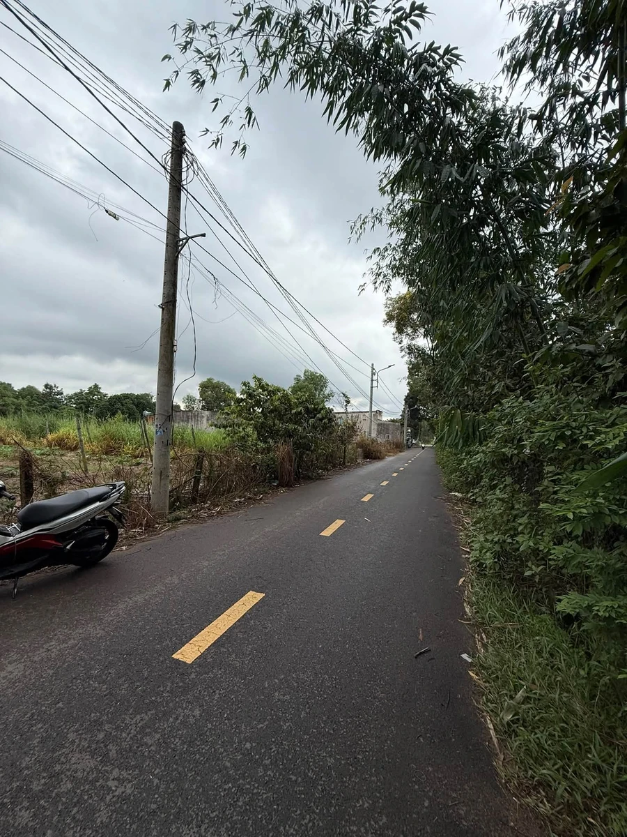 Bán đất Thới Hòa Bến Cát 3000m2 giá 12,5 tỷ - Ảnh thu nhỏ 3