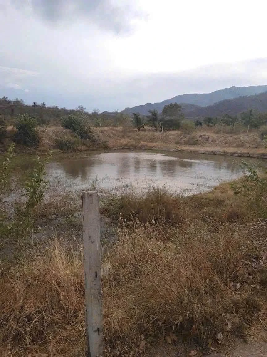 Bán đất 2,5 ha Vĩnh Sơn Tuy Phong Lâm Đồng - Ảnh thu nhỏ 3