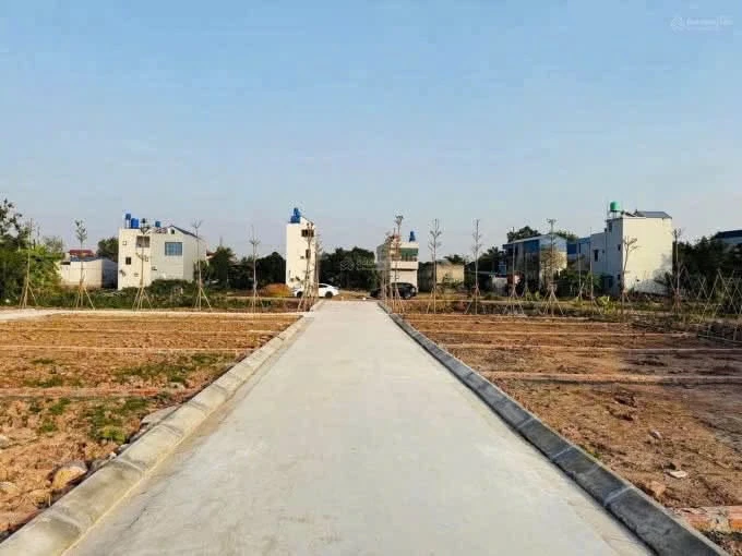 Bán đất nền 40.6m² Hồng Sơn Hà Nội 650 triệu - Ảnh thu nhỏ 2