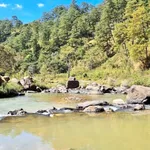 Bán lô đất view rừng thông và hồ 1080m² Đà Lạt - Ảnh thu nhỏ 4