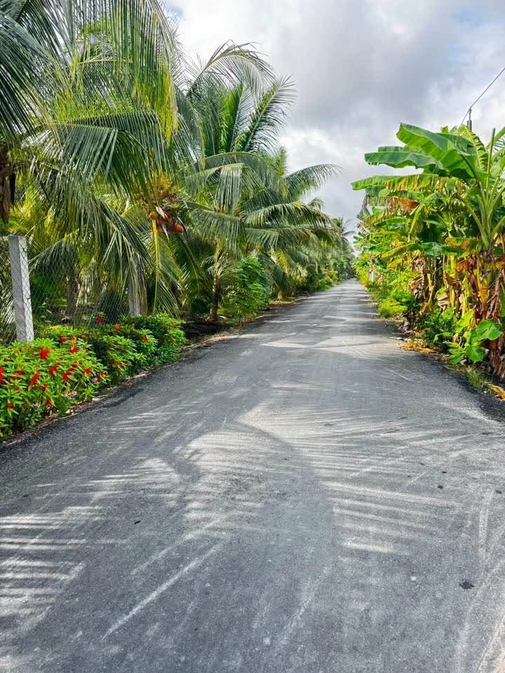 Bán 800m² đất mặt tiền Tiền Giang, 820 triệu - Ảnh thu nhỏ 2