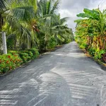 Bán 800m² đất mặt tiền Tiền Giang, 820 triệu - Ảnh thu nhỏ 2
