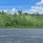 Sang đất nền nhiều lô gần cống Rạch Nhum, xã Khánh Bình, Cà Mau - Ảnh thu nhỏ 2