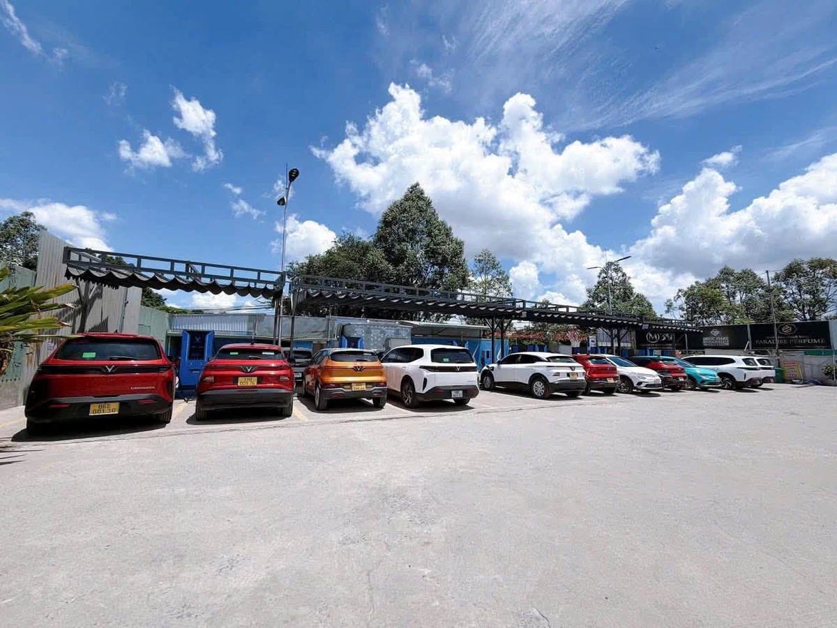 Cho thuê quỹ đất 10.000m² mặt tiền Phạm Văn Khoai, Tân Hiệp - Ảnh thu nhỏ 3