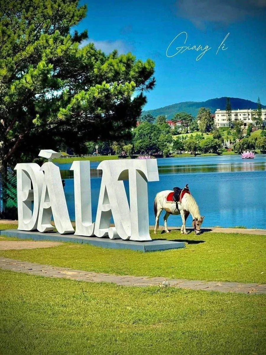 Bán lô đất mặt tiền 351m2 Tô Hiến Thành Đà Lạt - Ảnh thu nhỏ 4