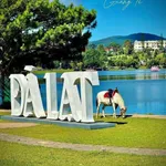 Bán lô đất mặt tiền 351m2 Tô Hiến Thành Đà Lạt - Ảnh thu nhỏ 4