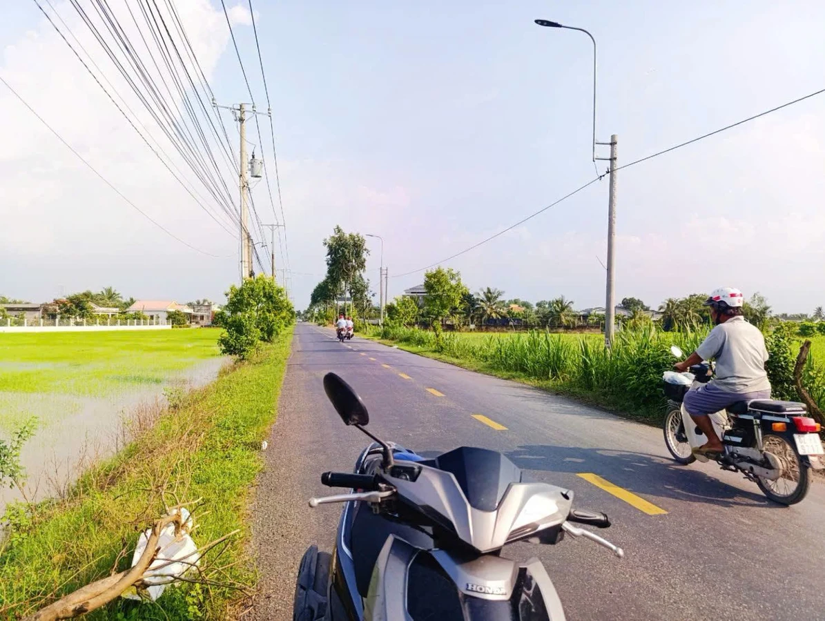 Bán đất lúa 1020m² mặt tiền nhựa Tân Trụ Long An - Ảnh thu nhỏ 4