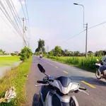Bán đất lúa 1020m² mặt tiền nhựa Tân Trụ Long An - Ảnh thu nhỏ 4