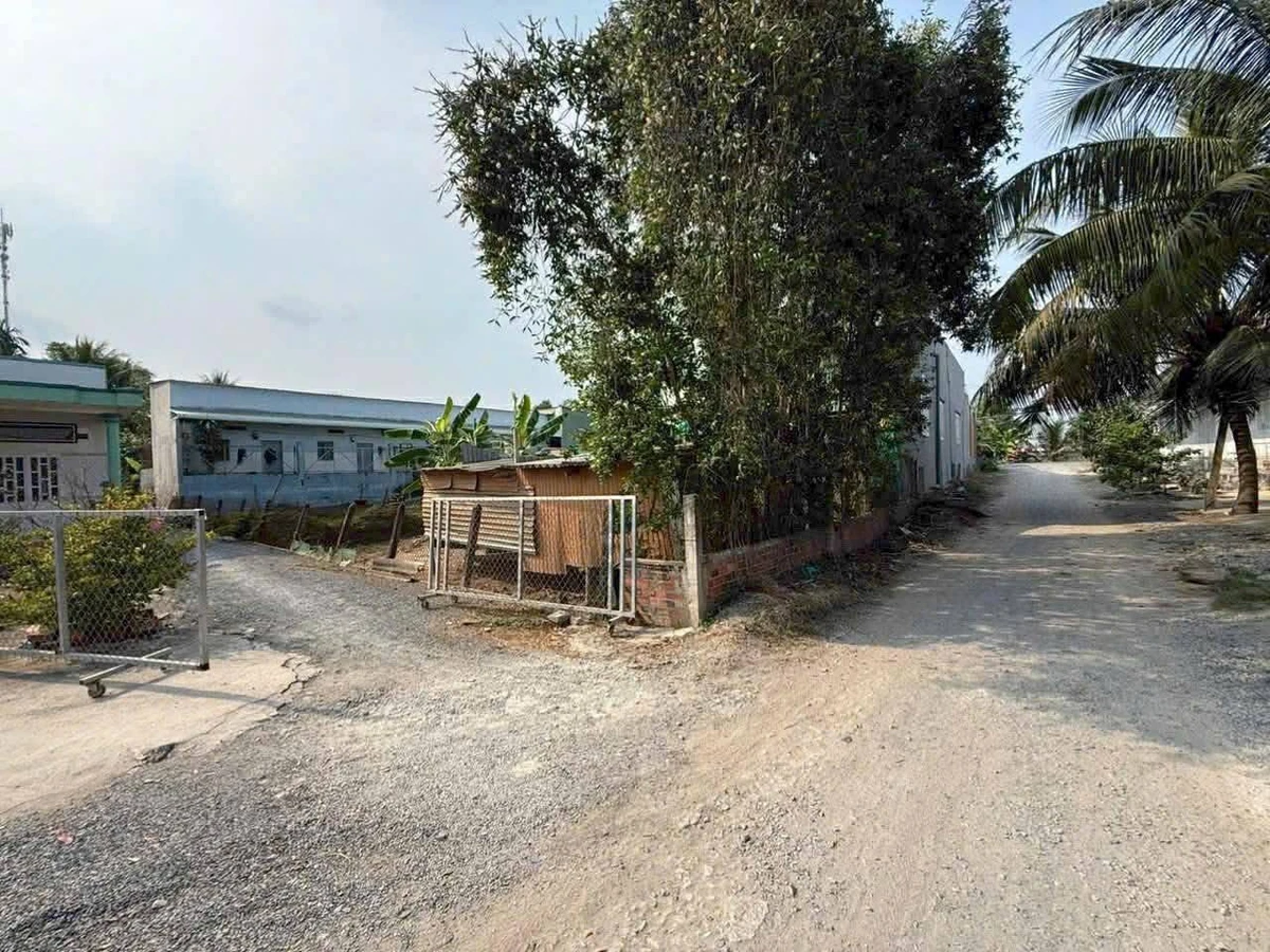 Bán nền đất thổ cư 200m2 mặt tiền đường 8m, Bến Lức, Long An - Ảnh thu nhỏ 2