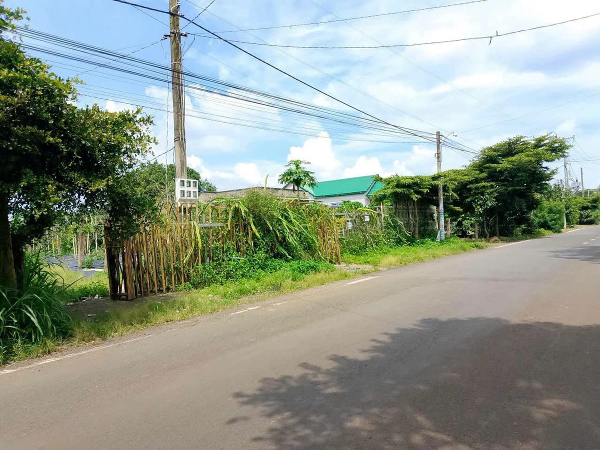 Bán đất mặt tiền DH1 5000m² Đức Trọng Lâm Đồng - Ảnh thu nhỏ 3
