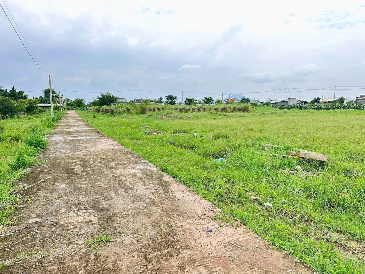 Bán lô đất nông nghiệp 500m² Lâm Đồng 550 triệu - Ảnh thu nhỏ 4
