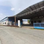 Cho thuê xưởng 6600m² mặt tiền Bến Lức, Tây Ninh - Ảnh thu nhỏ 2