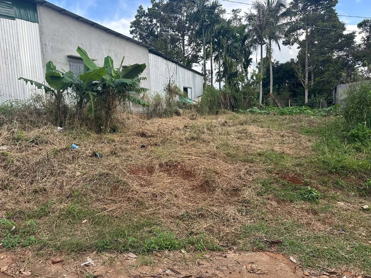 Bán lô đất 192m² giá 720 triệu tại Bình Chánh - Ảnh 1