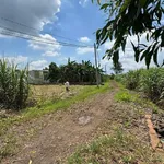 Bán 5500m² đất trồng cây Trảng Bom, giá 2 tỷ - Ảnh thu nhỏ 1
