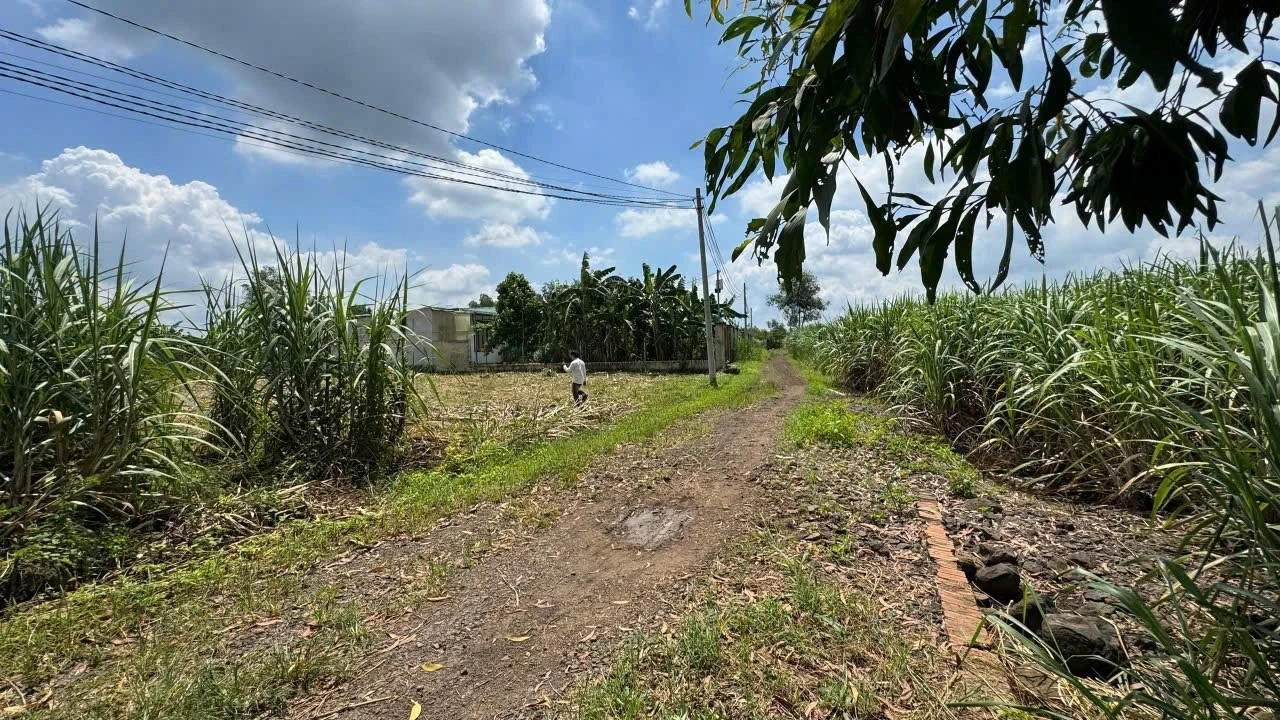 Bán 5500m² đất trồng cây Trảng Bom, giá 2 tỷ - Ảnh 1