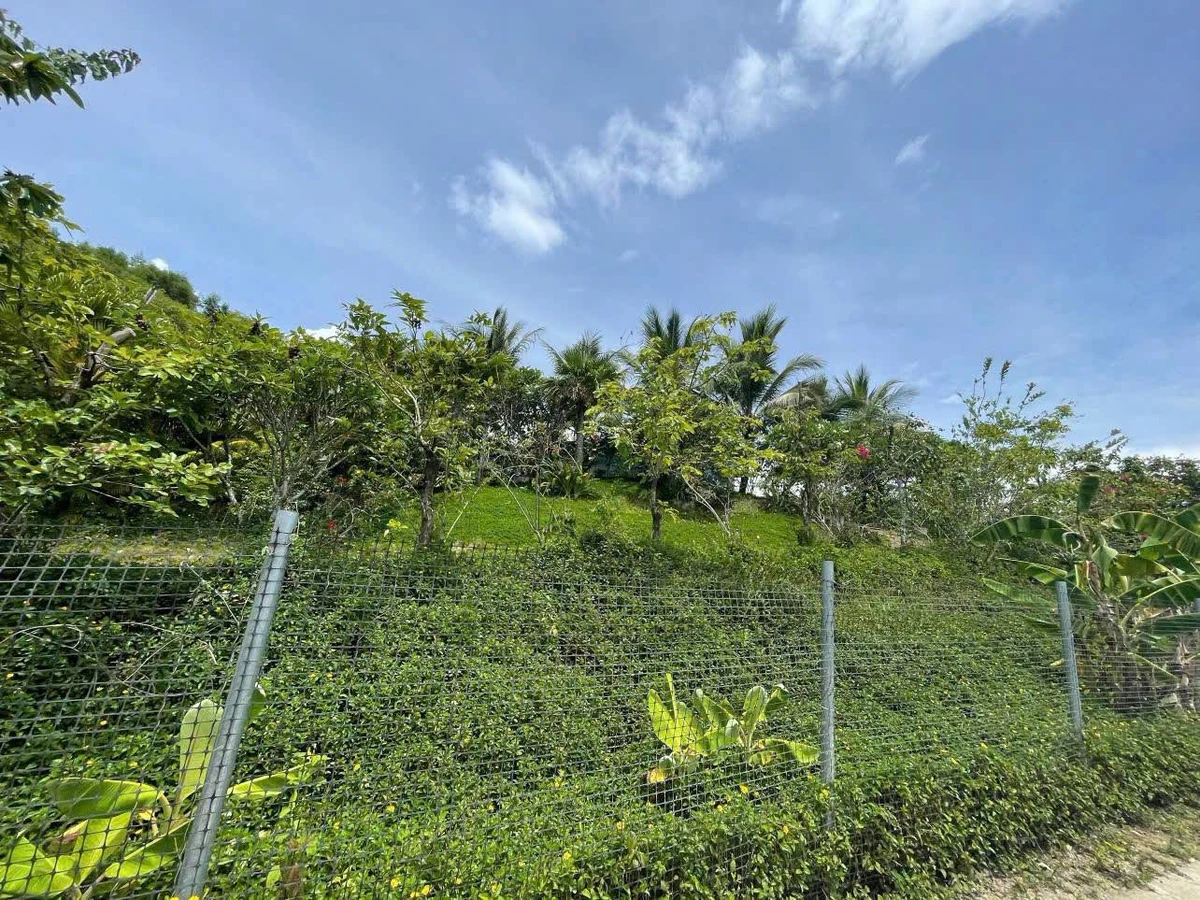 Bán nhanh đất vườn 4700m2 Khánh Hòa giá 1 tỷ 999 triệu - Ảnh thu nhỏ 5