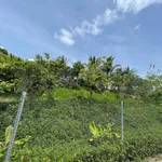 Bán nhanh đất vườn 4700m2 Khánh Hòa giá 1 tỷ 999 triệu - Ảnh thu nhỏ 5