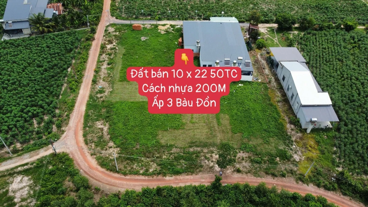 Bán đất Bào Đồn Tây Ninh 220m² 540 triệu - Ảnh thu nhỏ 2
