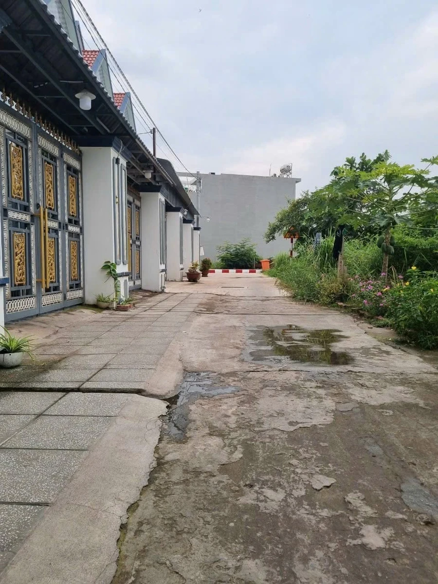 Bán đất thổ cư 100m2 liền kề dự án Saigon River Park, thị trấn Cần Giuộc, Long An - Ảnh thu nhỏ 2
