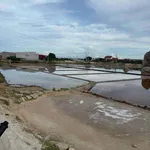 Bán đất ruộng muối Khánh Tường 3.646m² giá 1,1 tỷ/1000m² - Ảnh thu nhỏ 3