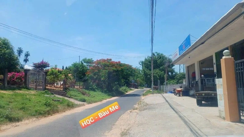 Bán đất 1100m² mặt tiền Bàu Me Khánh Hòa 10 tỷ