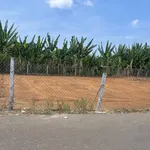 Bán lô đất đường 87 Hòa Long 98m² - 1 tỷ 800 triệu - Ảnh thu nhỏ 2
