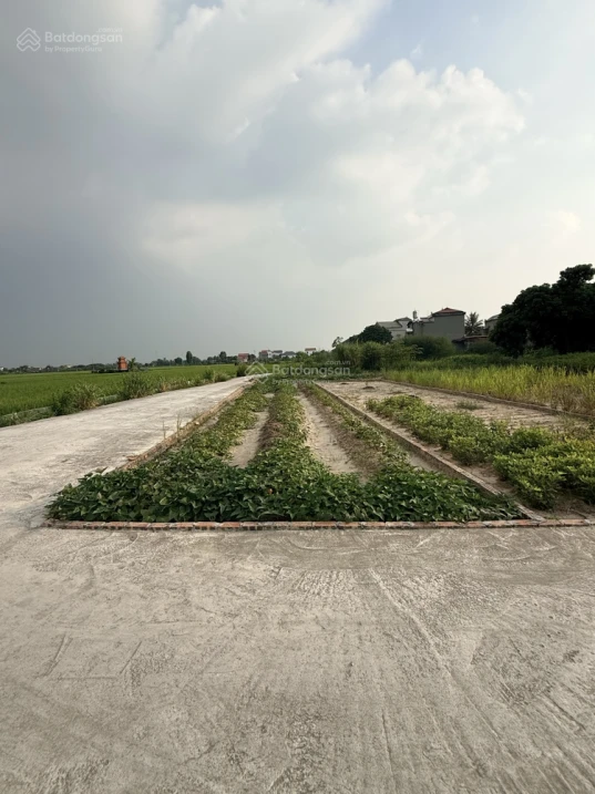 Cần bán gấp lô đất chính chủ gửi tại Đào Xá, Trung Chính, Bắc Ninh - Ảnh 1