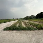 Cần bán gấp lô đất chính chủ gửi tại Đào Xá, Trung Chính, Bắc Ninh - Ảnh thu nhỏ 1