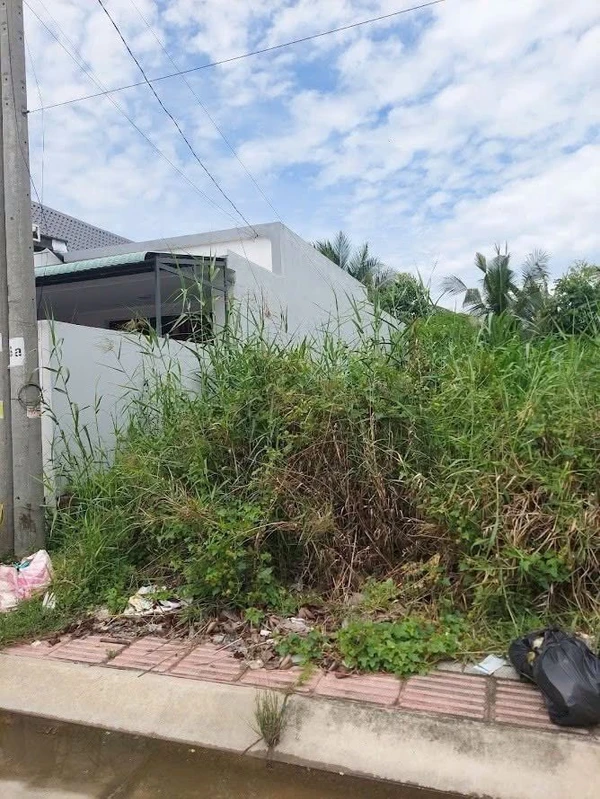 Bán nền đất 120m² Xã Phú Nhuận Bến Tre 1 tỷ 100 triệu