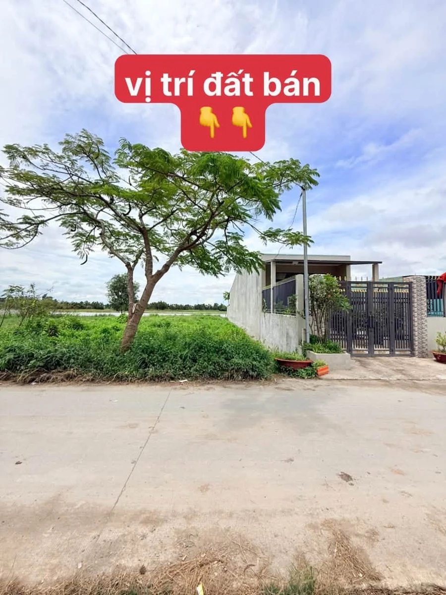 Bán đất thổ cư 196,8m² mặt tiền Mỹ Yên, Bến Lức - Ảnh 1