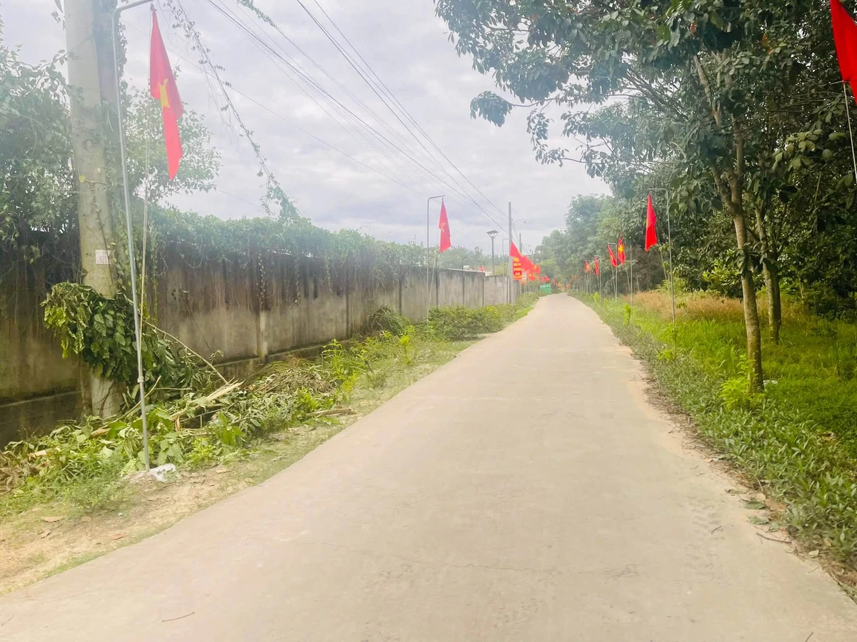 Bán đất Long Thành 876m² 6.2 tỷ - Ảnh thu nhỏ 2