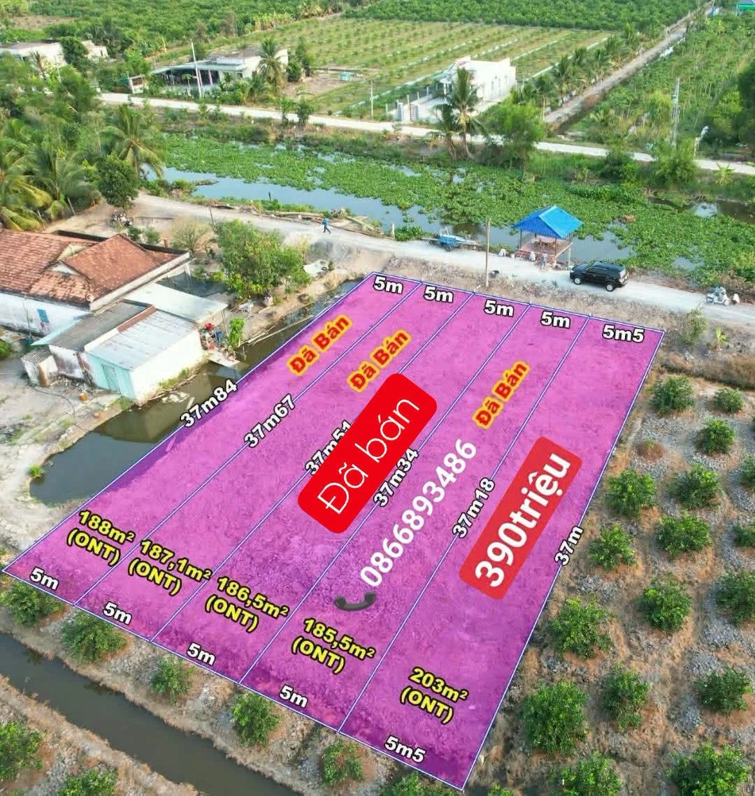 Bán đất thổ cư 203m² Thạnh Hoà Bến Lức, giá 390 triệu - Ảnh 1