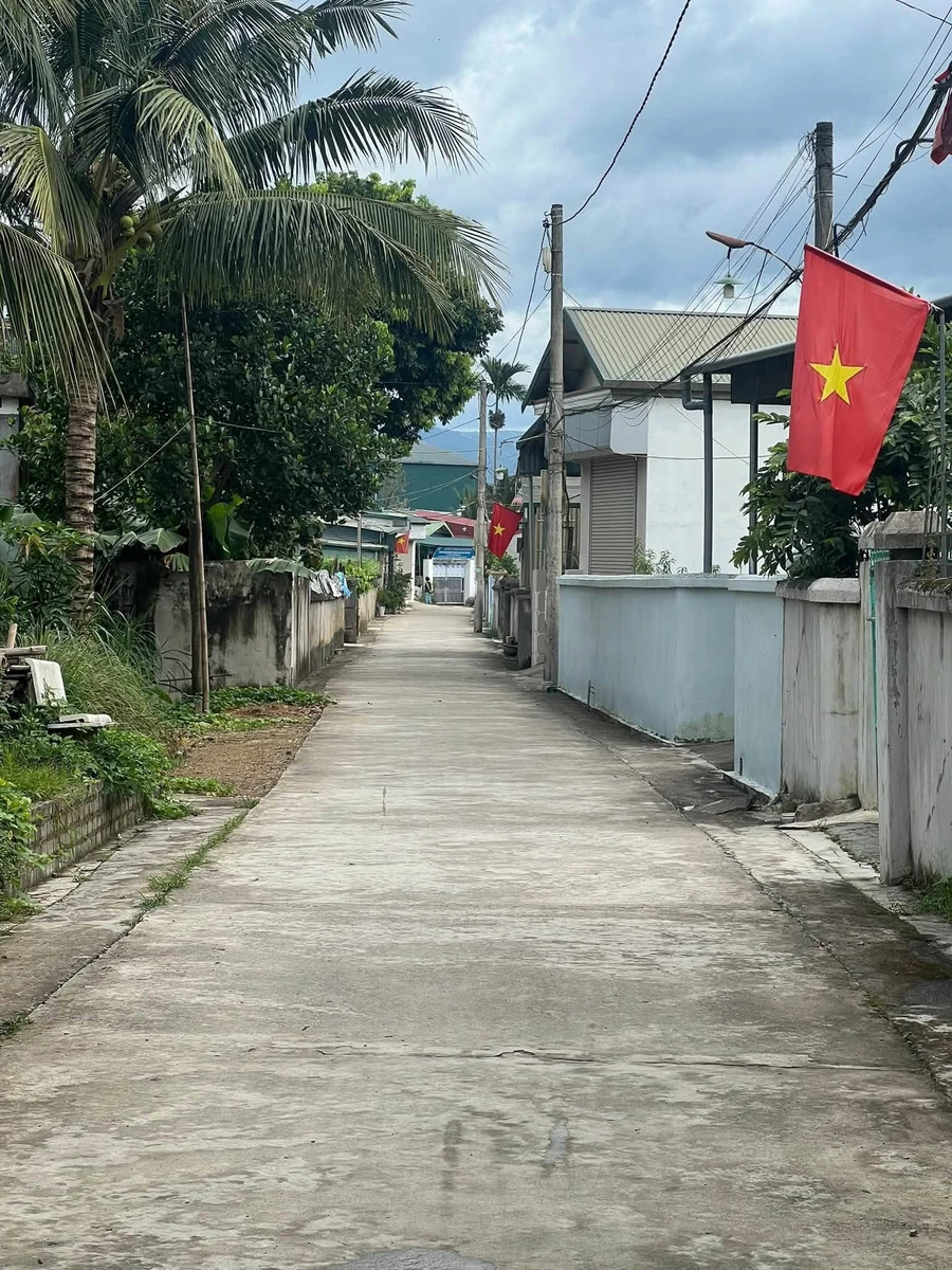Bán lô đất 115,7m² Thanh Hưng cũ Hóc Môn, 730 triệu - Ảnh thu nhỏ 2