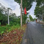 Bán đất giá rẻ Thị Trấn 1 Ngàn - Ảnh thu nhỏ 2