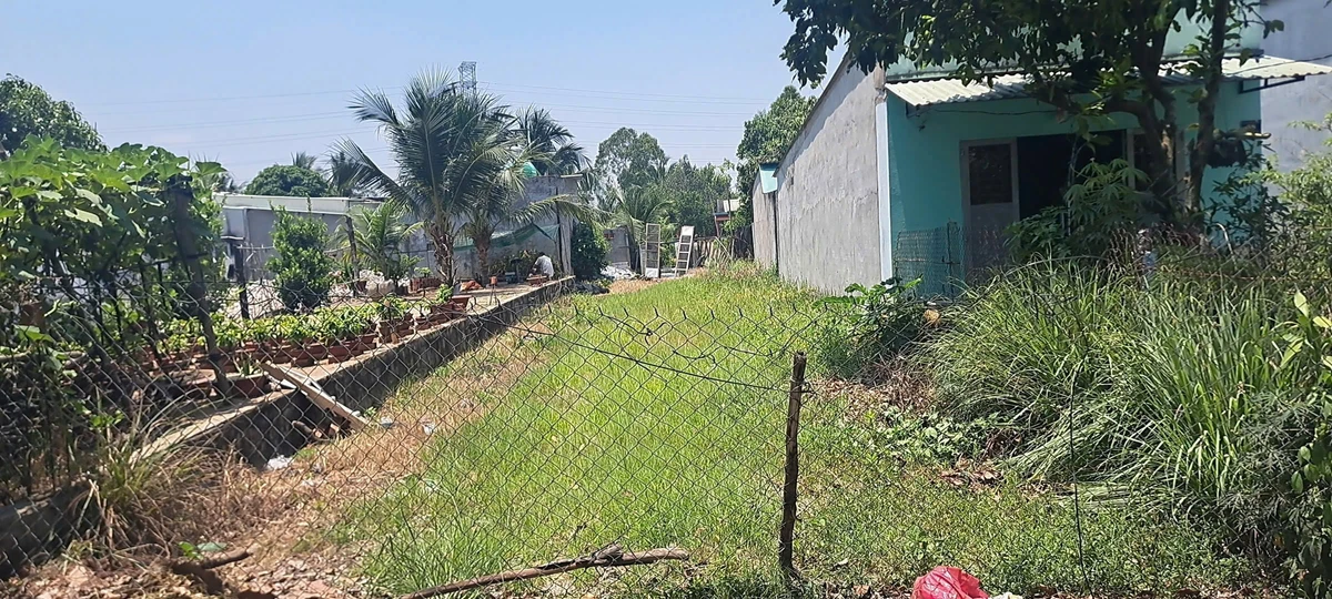 Bán đất Ấp 2 Hữu Thạnh Đức Hoà 6x35m mặt tiền đường bê tông - Ảnh thu nhỏ 2